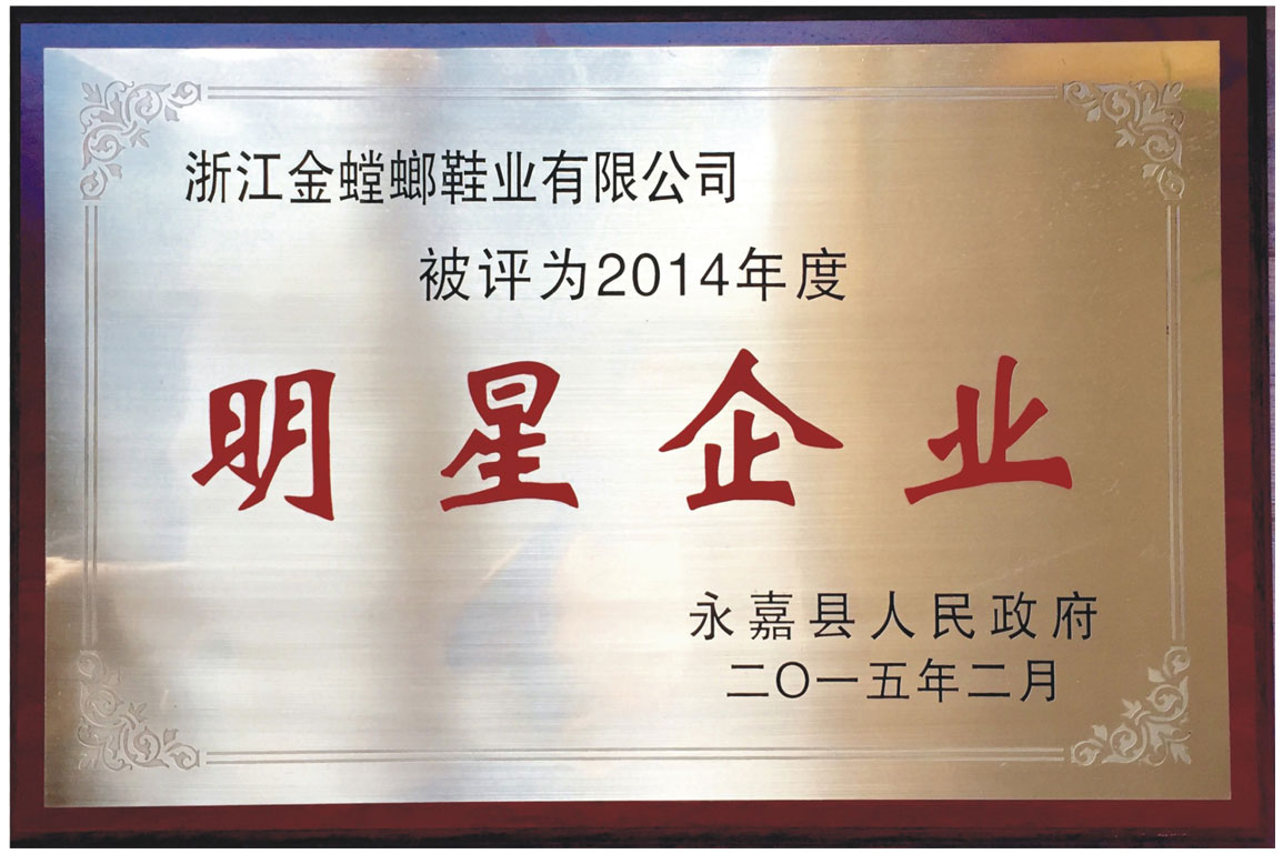 2014年度明星企業